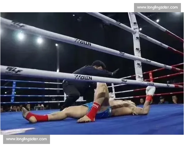 2007年白近斌对决方便巅峰之战揭示中国搏击新时代转折 2007年白近斌对决方便巅峰之战揭示中国搏击新时代转折