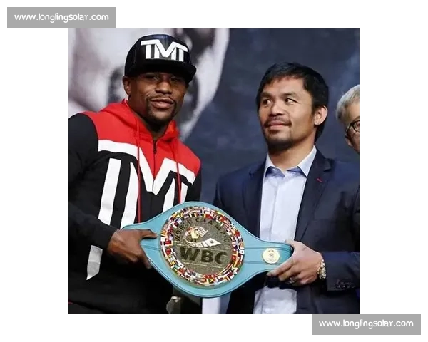 围绕梅威瑟对阵帕奎奥门票价格走势与抢购渠道策略全解析深度指南