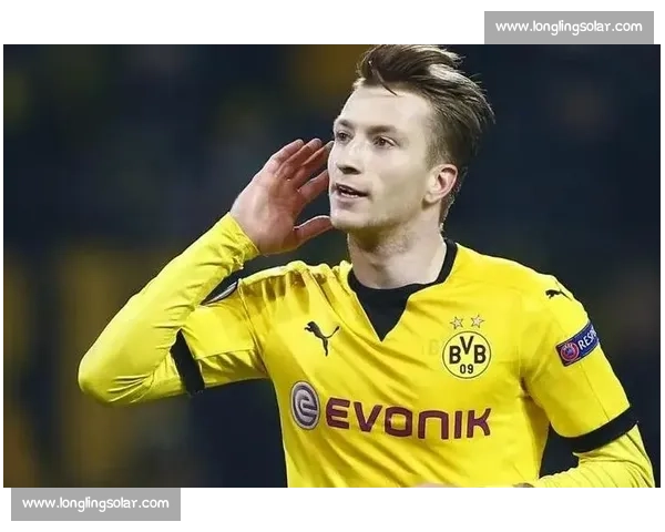 罗伊斯对决格策的时代抉择与德甲命运之战双星宿命荣耀与未来